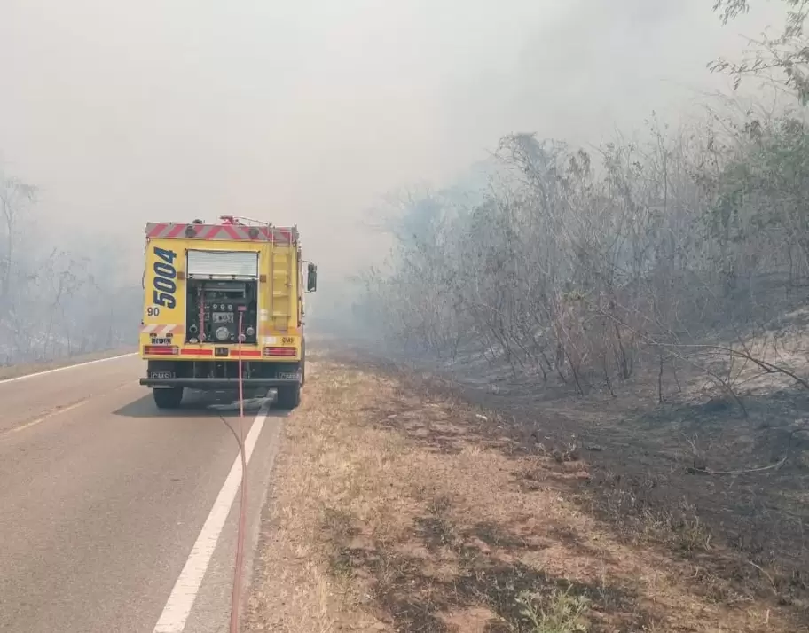incendios ledesma