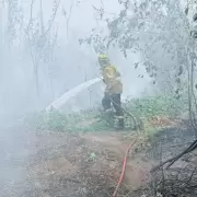 Incendio en el Parque Nacional Calilegua: ya se quemaron 130 hectáreas y esperan que la lluvia alivie la situación
