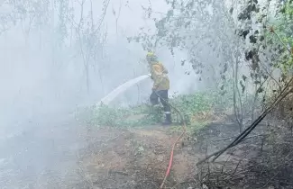 Incendios en el Parque Nacional Calilegua