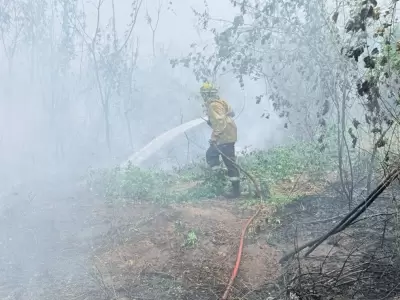 Incendios en el Parque Nacional Calilegua