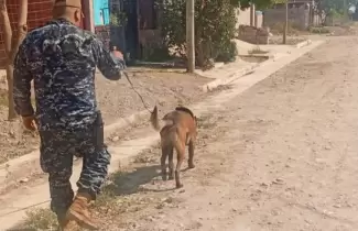 hallazgo de menor perro el carmen