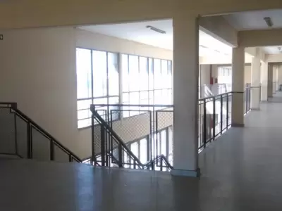 alumna golpeo a la directora en mar del plata