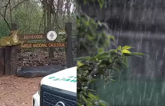 lluvia parque nacional calilegua