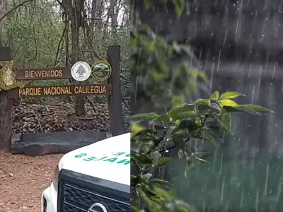 lluvia parque nacional calilegua