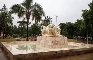 Leones en Ciudad de Nieva