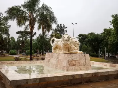 Leones en Ciudad de Nieva