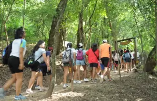 caminata eco saludable