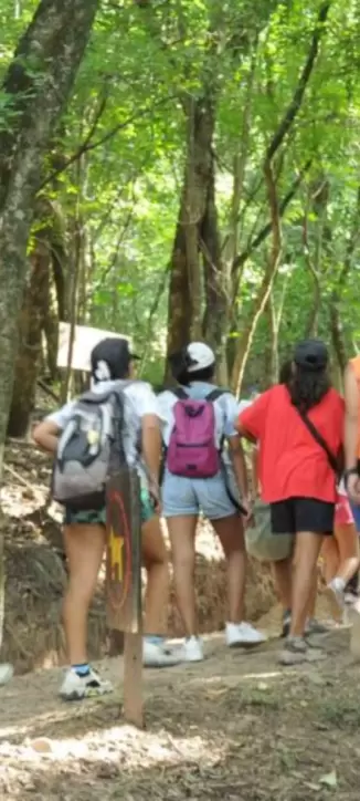 caminata eco saludable