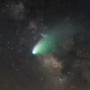 Cometa Lemmon: cómo y cuándo ver este fenómeno que se repite cada 1000 años