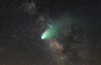 cometa lemmon