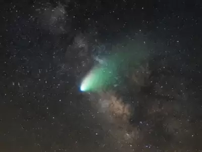 cometa lemmon