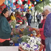 Día de Todos los Santos y Fieles Difuntos: estos son los precios de las flores y las coronas