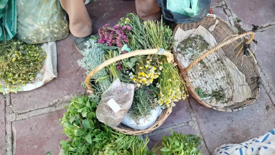 Hierbas medicinales de la Quebrada de Humahuaca