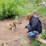 La Policía rescató a un perro en grave estado de abandono en Remate Chico