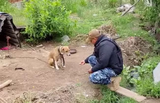 rescate perro en remate chico