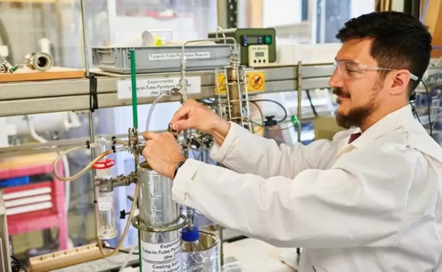 transforman residuos de yerba mate en un bioaceite con valor comercial conicet