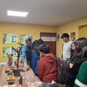Ecos del Parque: una noche para descubrir el mundo de los murciélagos