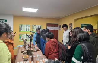 noche de murci�lagos
