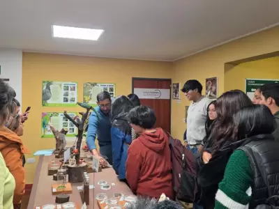 noche de murci�lagos