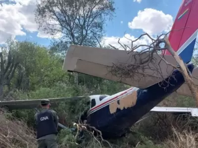 avioneta coca�na Salta