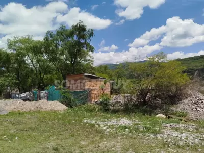 asentamiento r�o Reyes