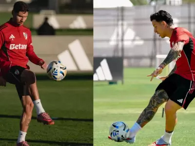 gallardo - driussi