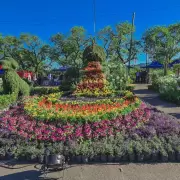 Vuelve el evento más colorido: Jujuy Florece 2025