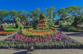 jujuy florece