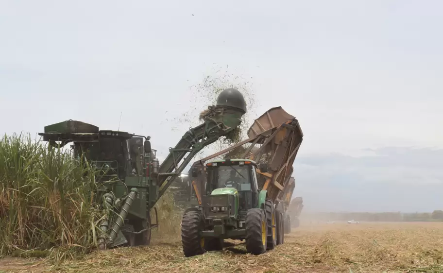 fin de zafra
