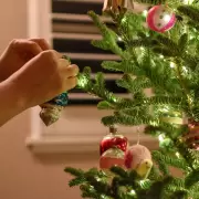 Extienden la campaña "Árboles que vuelven a brillar" para donar árboles y adornos navideños en buen estado