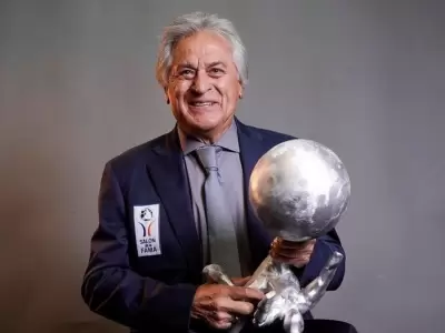 pato fillol