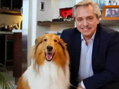 dylan alberto fernandez