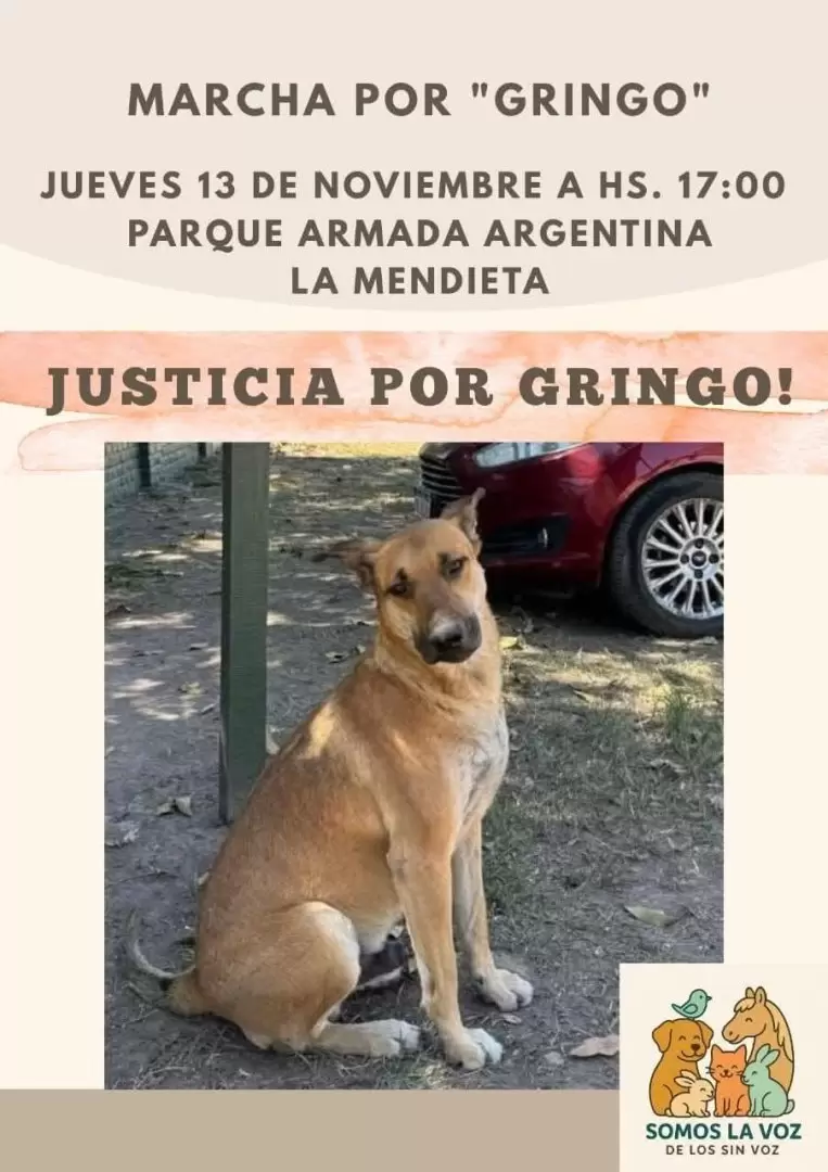 Marcha por Gringo