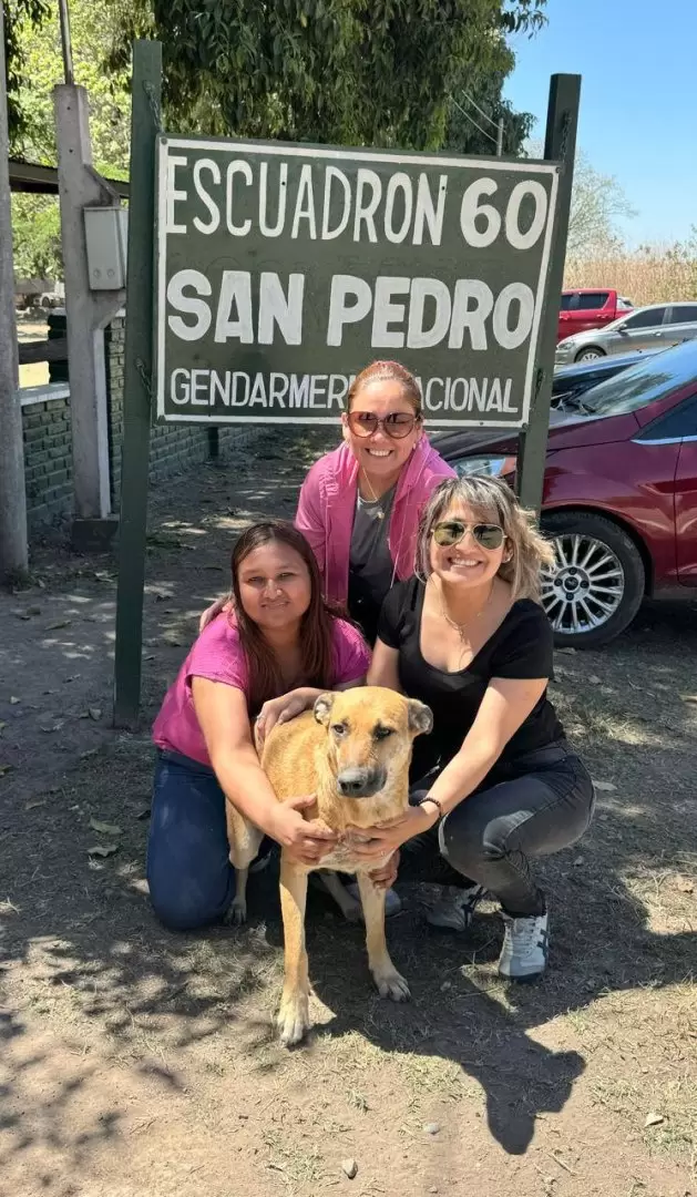 Gringo era un perrito comunitario muy querido en La Mendieta