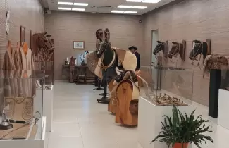 muestra de sogueria criolla
