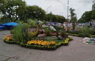 Jujuy Florece