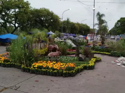 Jujuy Florece