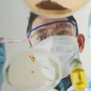 "Micromundo": la UNJu abre una muestra para explorar el universo de los microorganismos