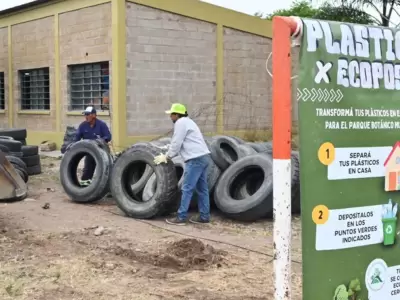 jornada de recolecci�n