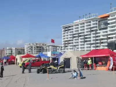 b�squeda adolescente argentino en chile