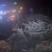 Una adolescente murió por el temporal: circulaba en moto y le cayó un árbol