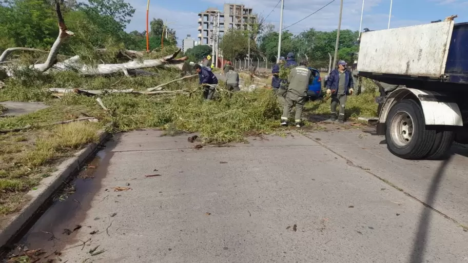Personal Municipal trabaja luego de los destrozos por el temporal en Santiago del Estero