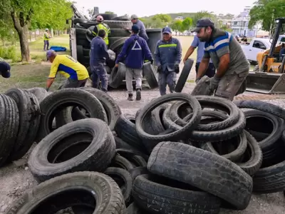 neumat�n jujuy
