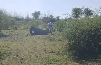 ataque a caballos