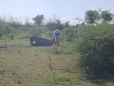 ataque a caballos