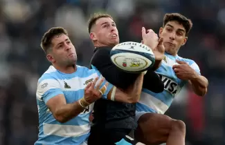 los pumas