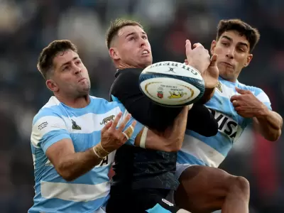 los pumas