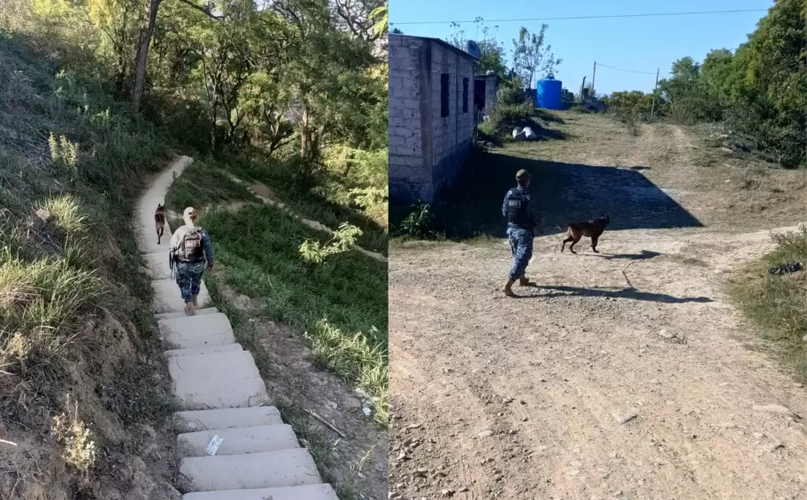 roco perro policia