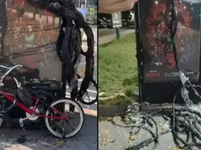 stranger things buenos aires robo de bici