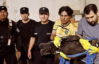 rescate c�ndor